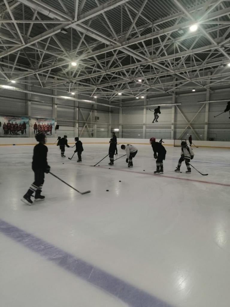 Тренировка по хоккею